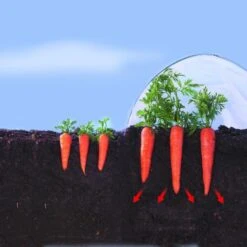 Kweekfolie / Tunnelfolie - 2 × 10 M 7 Kweekfolie / Tunnelfolie - 2 × 10 M -Gardena Winkel 1534088192 2 600