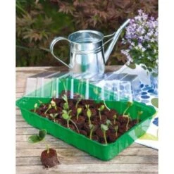 Zaaischaal Met Deksel 36 × 22 × 13 Cm 5 Zaaischaal Met Deksel 36 × 22 × 13 Cm -Gardena Winkel 1552249425 1 600