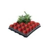 Tray Met 20 Kweekpotjes 6 Cm -Gardena Winkel 1597239142 1 600