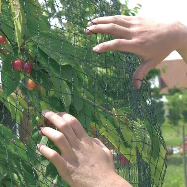 Vogelnet Beschermnet - Pronet 5 × 6 M 3 Vogelnet Beschermnet - Pronet 5 × 6 M