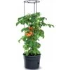 Tomaten Kweekpot Met Groeisteun - 12 Liter -Gardena Winkel 1649410567 1 600