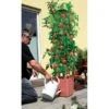 Plantentoren Maxitom Met Waterreservoir - Terracotta 1 Plantentoren Maxitom Met Waterreservoir - Terracotta -Gardena Winkel 1677510667 1 600