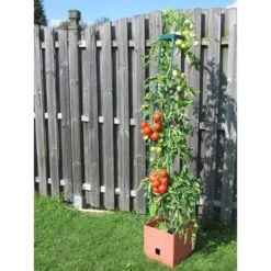 Plantentoren Maxitom Met Waterreservoir - Terracotta -Gardena Winkel 1677510667 2 600