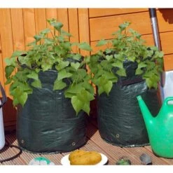 Gardena Winkel -Gardena Winkel aardappel kweekzak groen 1484053819 2 600