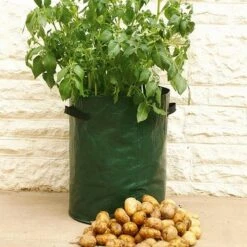 Gardena Winkel -Gardena Winkel aardappel kweekzak groen 1522047140 1 600