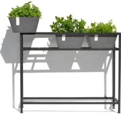ECOPOTS Berlin Kruidentafel - Grijs 100 X 80 X 36 Cm 7 ECOPOTS Berlin Kruidentafel - Grijs 100 X 80 X 36 Cm -Gardena Winkel ecopots berlin kruidentafel grijs 1600852112 2 600