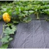 Gronddoek 2 × 10 M (90 G/m²) 2 Gronddoek 2 × 10 M (90 G/m²) -Gardena Winkel gronddoek 2 x 10 m 100gm 1553160131 1 600