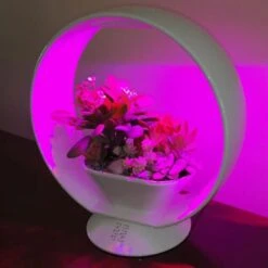 Mini Tuin Jardin Secret Met Verlichting En Bluetooth - Rond -Gardena Winkel jardin secret met bluetooth rond 1602065218 3 600