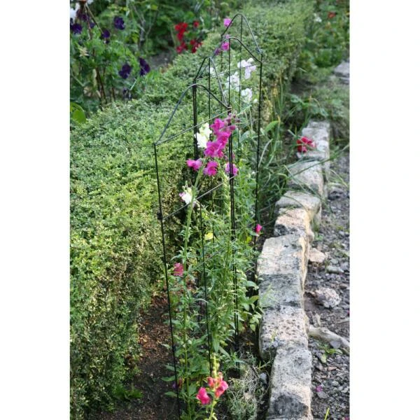 Klimplantensteun - Moduleerbare Steunpanelen 6 Klimplantensteun - Moduleerbare Steunpanelen - Afbeelding 4