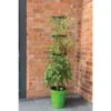 Klimplantentoren 150 Cm Met Bewateringssysteem - Groen 1 Klimplantentoren 150 Cm Met Bewateringssysteem - Groen -Gardena Winkel klimplantentoren met bewateringssysteem 1519073626 1 600