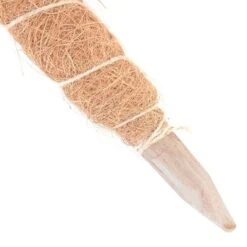 Kokos Kamerplantensteun - Plantstok Ø45 Mm × 1,2 M -Gardena Winkel kokos plantstok 45 mm x 12 m 1622716784 2 600