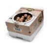 Kweekset 7,5 Liter Bruine Champignons 2 Kweekset 7,5 Liter Bruine Champignons -Gardena Winkel kweekset bruine champignons 1484067274 1 600