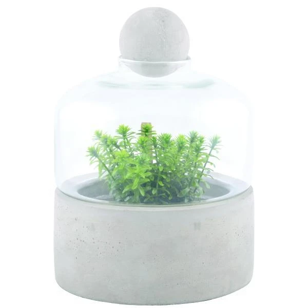 ESSCHERT DESIGN Kweekstolp Glas Op Betonbasis 4 ESSCHERT DESIGN Kweekstolp Glas Op Betonbasis - Afbeelding 2