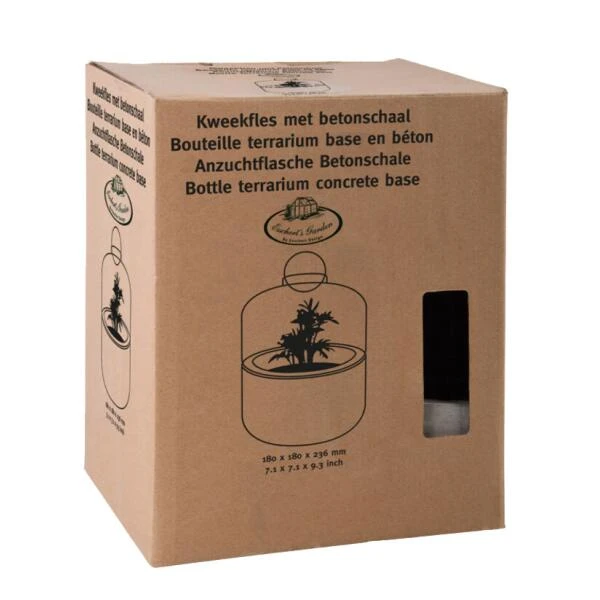 ESSCHERT DESIGN Kweekstolp Glas Op Betonbasis 5 ESSCHERT DESIGN Kweekstolp Glas Op Betonbasis - Afbeelding 3