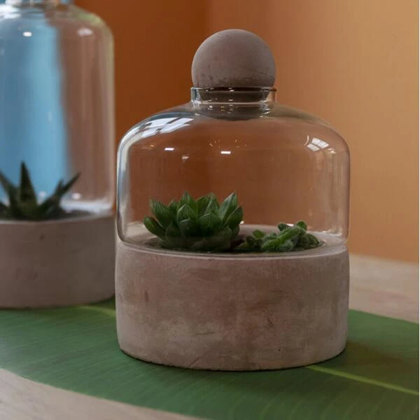 ESSCHERT DESIGN Kweekstolp Glas Op Betonbasis 6 ESSCHERT DESIGN Kweekstolp Glas Op Betonbasis - Afbeelding 4