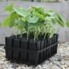Kweektray Deep Roots - 32 Cellen -Gardena Winkel kweektray deep roots 32 cellen 1487673472 0 600