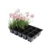 Kweektrays 15 Cellen - Professioneel - Set Van 5 Stuks -Gardena Winkel kweektrays 15 cellen professioneel 1497948812 1 600