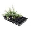 Kweektrays 24 Cellen - Professioneel - Set Van 5 Stuks -Gardena Winkel kweektrays 24 cellen 1497863523 1 600