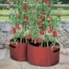 Kweekzak Tomaten 40 Liter - Set Van 2 Stuks -Gardena Winkel kweekzak voor tomaten 40 liter 1487756657 0 600