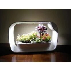 Mini Tuin Jardin Secret Met Ledverlichting En Bluetooth - Rechthoek -Gardena Winkel mini tuin jardin secret met bluetooth 1602061938 2 600