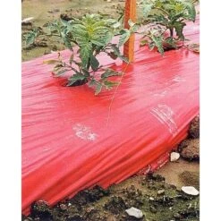 Rode Folie Voor Een Betere Plantengroei 9 Rode Folie Voor Een Betere Plantengroei -Gardena Winkel mulchfolie 1577621345 1 600