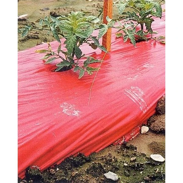 Rode Folie Voor Een Betere Plantengroei 5 Rode Folie Voor Een Betere Plantengroei - Afbeelding 3