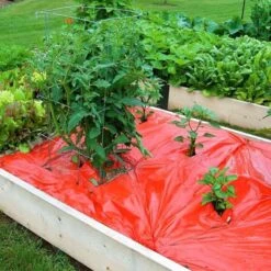Rode Folie Voor Een Betere Plantengroei 11 Rode Folie Voor Een Betere Plantengroei -Gardena Winkel mulchfolie 1577621986 1 600
