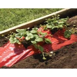 Rode Folie Voor Een Betere Plantengroei 10 Rode Folie Voor Een Betere Plantengroei -Gardena Winkel mulchfolie rood aardbeien en tomaten 1492072043 1 600