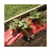 Rode Folie Voor Een Betere Plantengroei -Gardena Winkel mulchfolie rood aardbeien en tomaten 1577620678 1 600