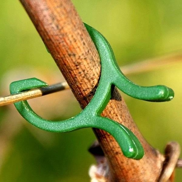 Plantenclips Kunststof - Set Van 50 Stuks 4 Plantenclips Kunststof - Set Van 50 Stuks - Afbeelding 2