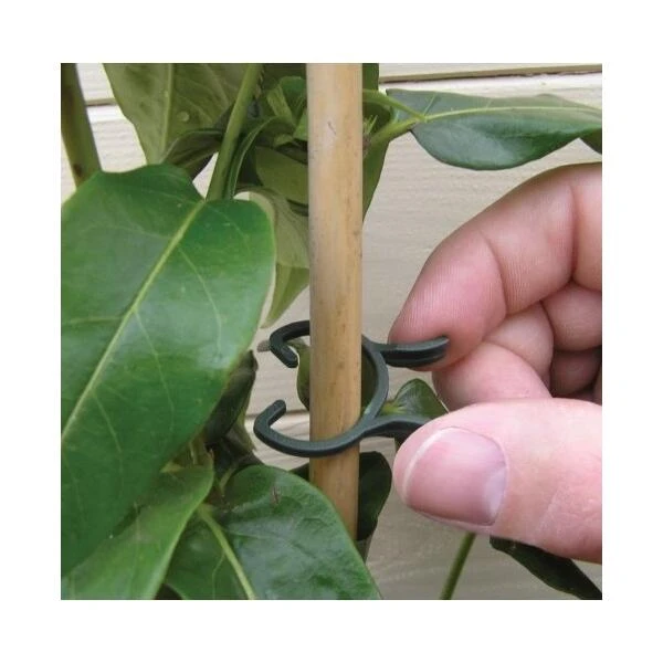 Plantenclips Kunststof - Set Van 50 Stuks 3 Plantenclips Kunststof - Set Van 50 Stuks