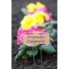 Plantenlabels Koperplaatjes - Set Van 5 Stuks -Gardena Winkel plantenlabel verzinkt 1486564763 0 600