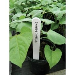 Plantenlabels Wit Kunststof - 20 Cm - Set Van 20 Stuks -Gardena Winkel plantenlabels wit 20 cm 1608551508 2 600