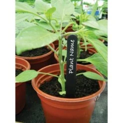 Plantenlabels Zwart Kunststof - 20 Cm - Set Van 20 Stuks -Gardena Winkel plantenlabels zwart 20 cm 1608551056 2 600
