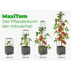 Plantentoren Maxitom Met Waterreservoir - Antraciet -Gardena Winkel plantentoren maxitom antraciet 1677571236 4 600
