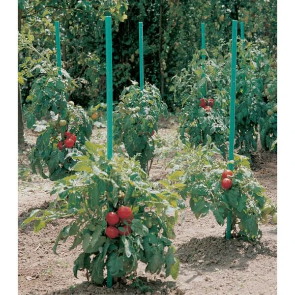 Plantensteun Voor Tomaten Met Waterreserve - 180 Cm 3 Plantensteun Voor Tomaten Met Waterreserve - 180 Cm