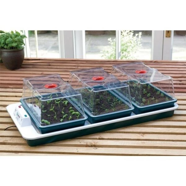 Reuzepropagator 3 Kweekkassen - Verwarmde Zaaibak 3 Reuzepropagator 3 Kweekkassen - Verwarmde Zaaibak