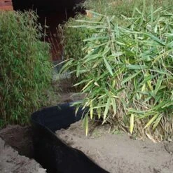 Rootblock Professionele Wortelwering 60 Cm Hoog - / Strekkende Meter 9 Rootblock Professionele Wortelwering 60 Cm Hoog - / Strekkende Meter -Gardena Winkel rootblock professionele wortelwering 1552733360 3 600