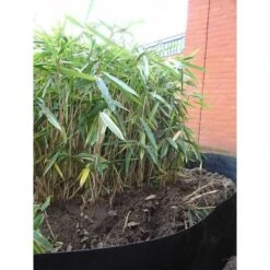 Rootblock Professionele Wortelwering 60 Cm Hoog - / Strekkende Meter 11 Rootblock Professionele Wortelwering 60 Cm Hoog - / Strekkende Meter -Gardena Winkel rootblock professionele wortelwering 1552733360 5 600