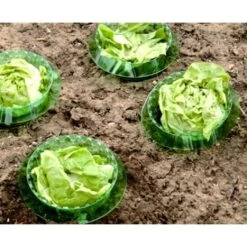 Slakken Beschermringen - Set Van 6 Stuks -Gardena Winkel slakken beschermingsringen 1484053655 2 600