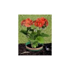 Anti-slakkenringen Met Kopertape -Gardena Winkel slakkenringen koper 1484053248 2 600