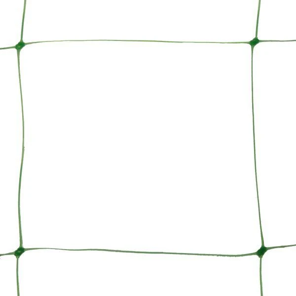 Klimgaas Erwten En Bonen 2m × 10 M 5 Klimgaas Erwten En Bonen 2m × 10 M - Afbeelding 3