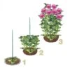 Steunringen Voor Planten Ø 30 Cm - Kunststof - Set Van 2 Stuks 2 Steunringen Voor Planten Ø 30 Cm - Kunststof - Set Van 2 Stuks -Gardena Winkel steunringen 1490175532 1 600