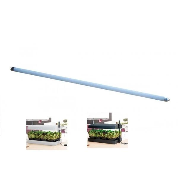 TL Lamp - 55 Cm Groeilicht - 24 Watt - Set Van 1 Stuks 3 TL Lamp - 55 Cm Groeilicht - 24 Watt - Set Van 1 Stuks