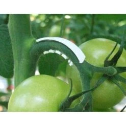 Tomaten Trossteun Wit - Set Van 100 Stuks -Gardena Winkel tomatentrossteunen 1484056718 3 600