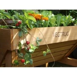 Vegtrug Verhoogde Kweektafel - 1 × 0,8 × 0,8 M -Gardena Winkel vegtrug 1 m 1484054491 4 600