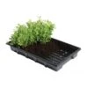 Zaaitrays - Professioneel - Set Van 5 Stuks -Gardena Winkel zaaitrays professioneel 1497951313 1 600